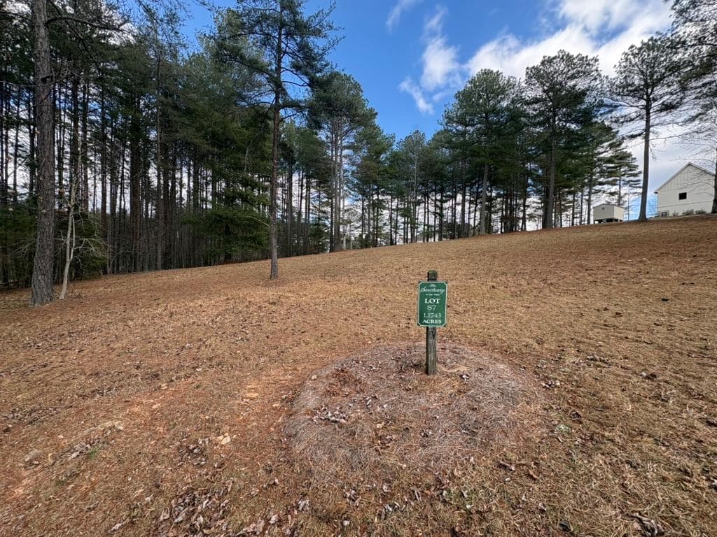 LOT 87 Creek Hollow Lane, Blairsville GA 30512 - Primary photo