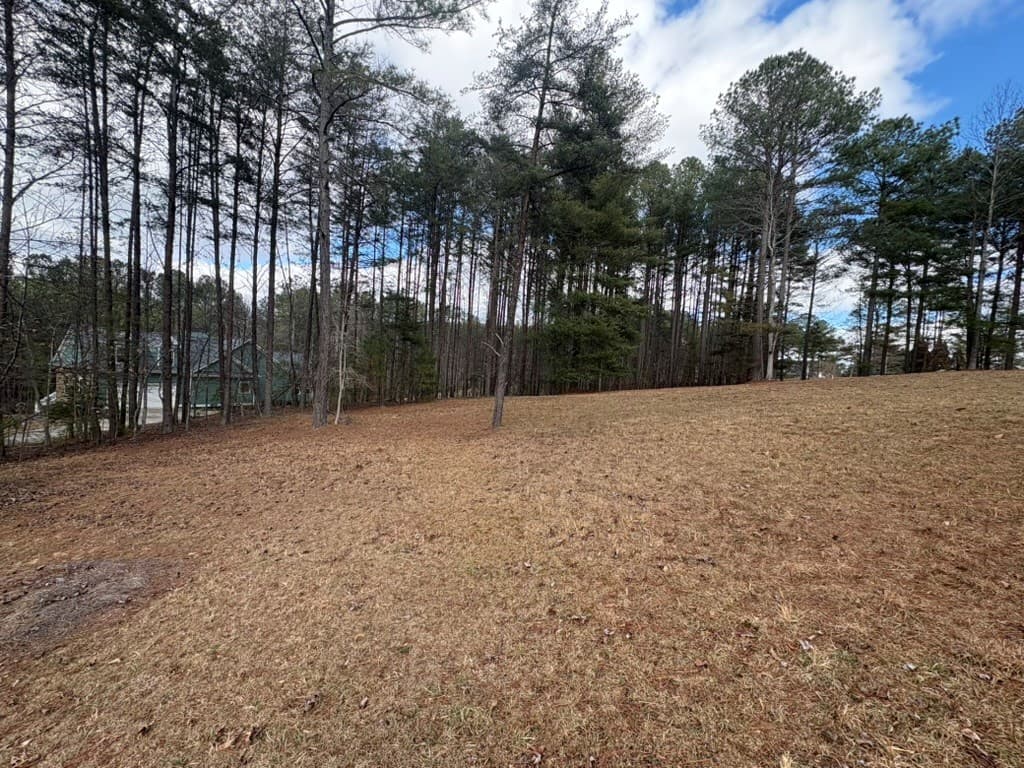 LOT 87 Creek Hollow Lane, Blairsville GA 30512 - Photo