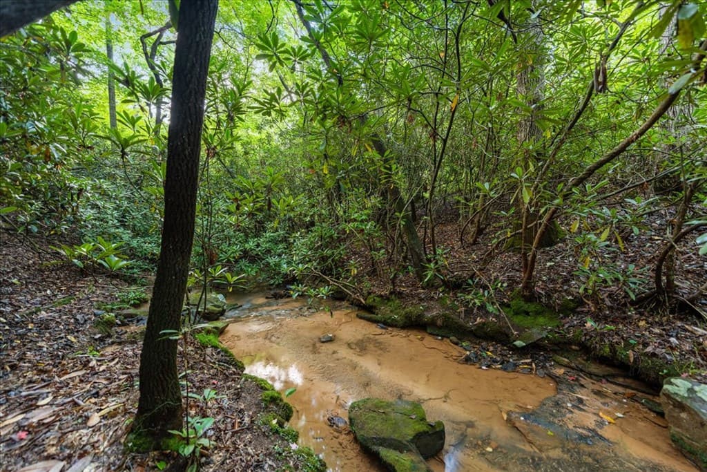 126 Brookwood Drive, Blue Ridge GA 30513 - Photo
