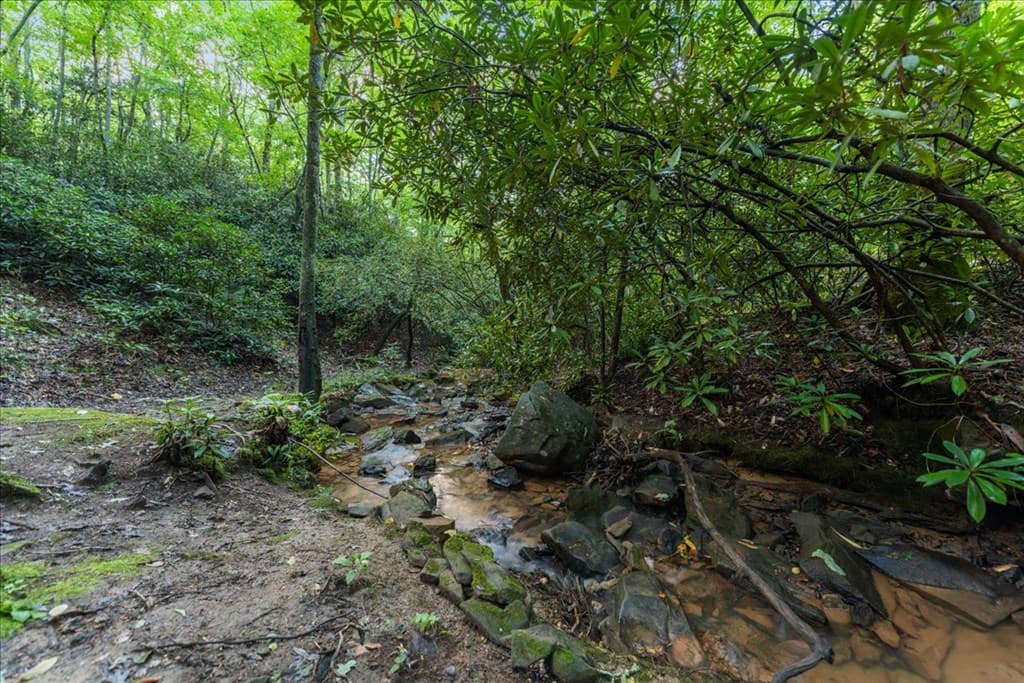 126 Brookwood Drive, Blue Ridge GA 30513 - Photo