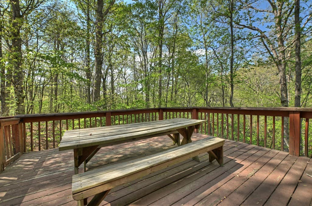 126 Brookwood Drive, Blue Ridge GA 30513 - Photo