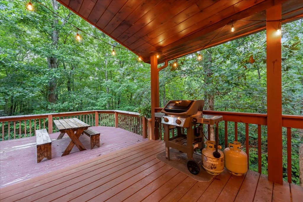126 Brookwood Drive, Blue Ridge GA 30513 - Photo