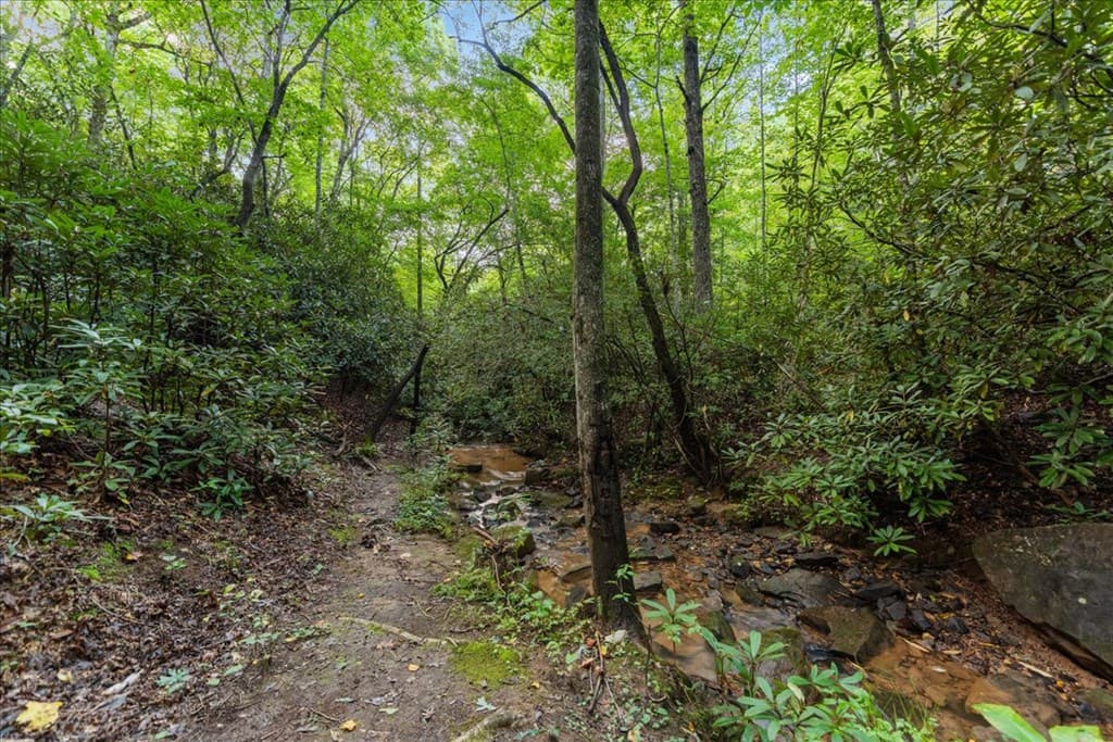 126 Brookwood Drive, Blue Ridge GA 30513 - Photo