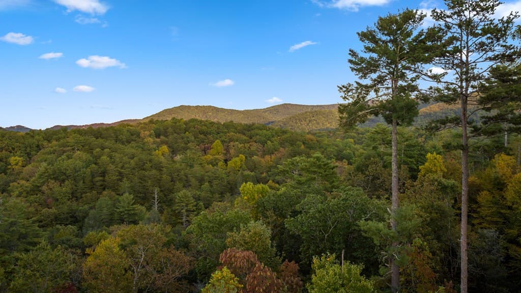 709 Laurel Creek Trail, Blue Ridge GA 30513 - Photo