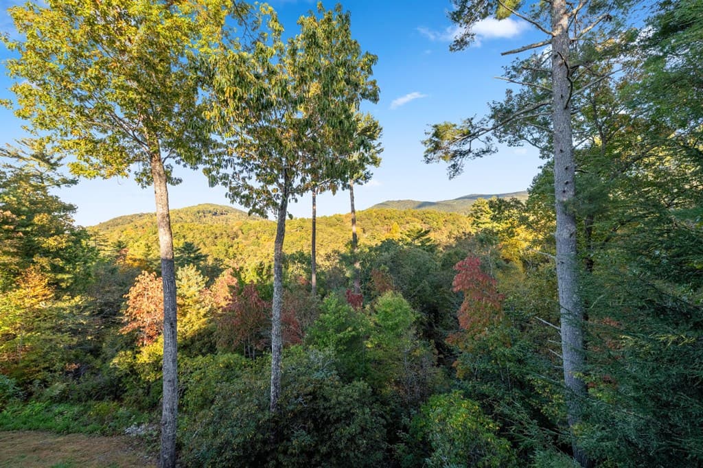 709 Laurel Creek Trail, Blue Ridge GA 30513 - Photo
