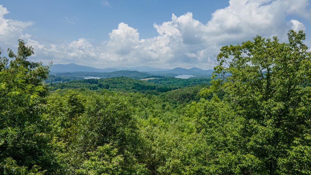 417 Hidden Forest Lane, Hayesville SC 29804 - Photo