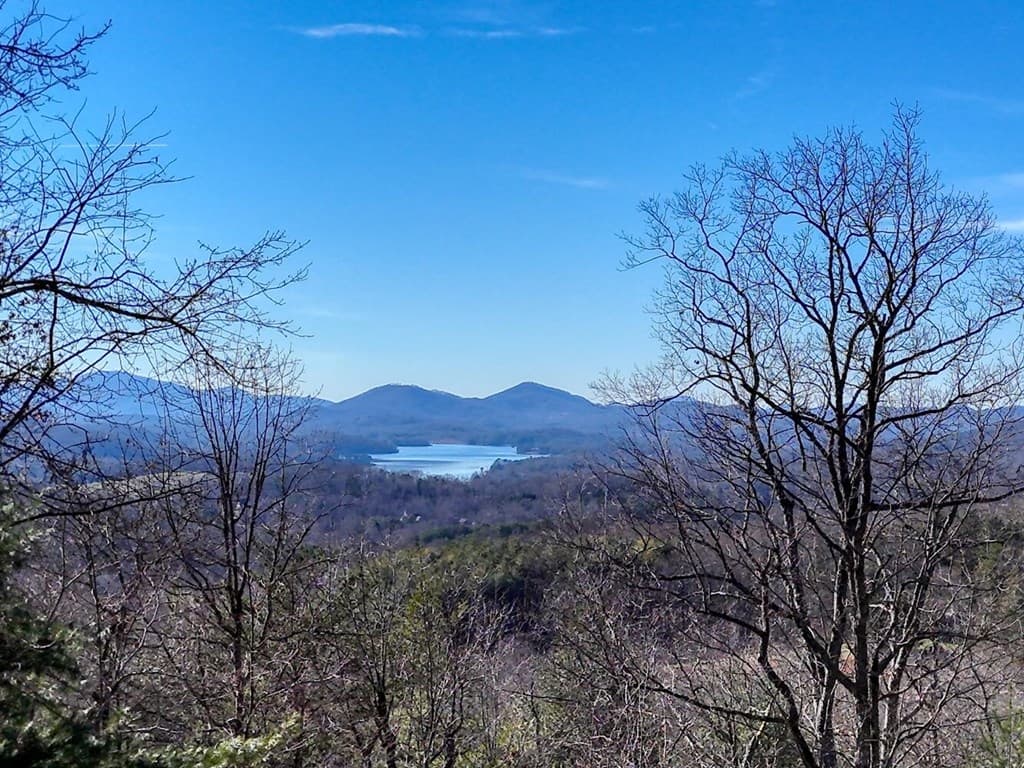 417 Hidden Forest Lane, Hayesville SC 29804 - Photo