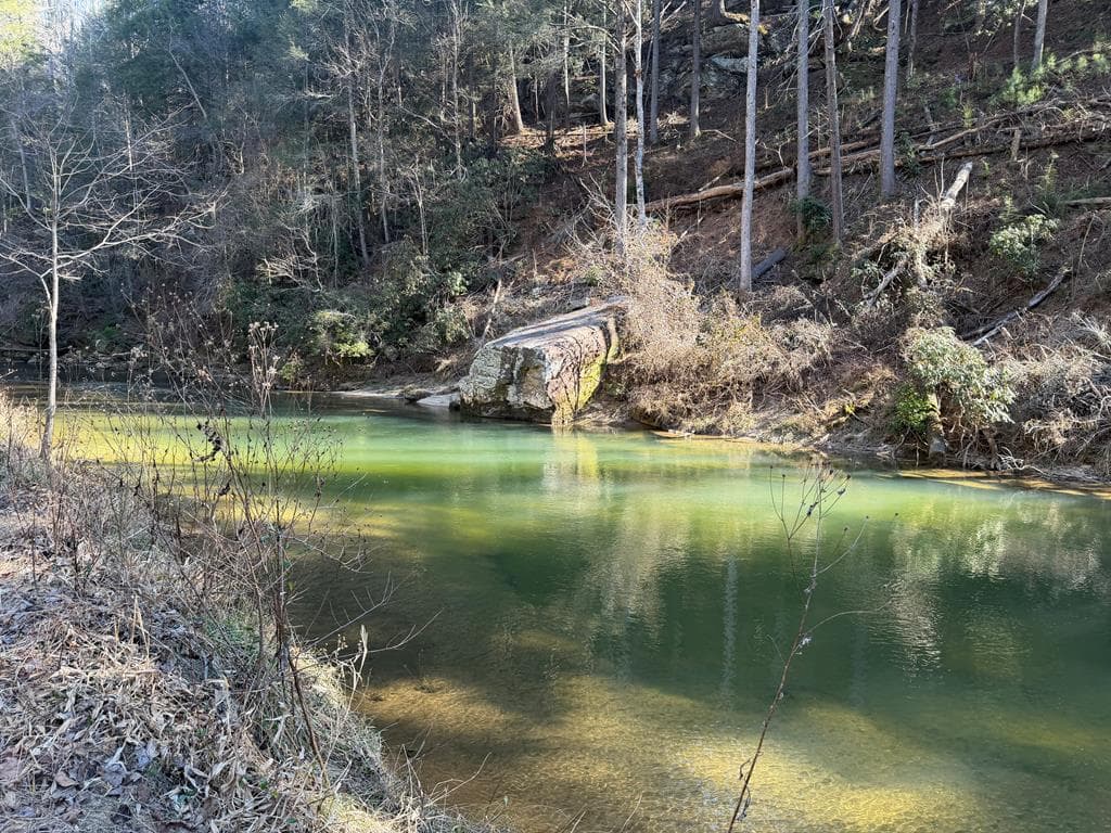 1281 High River Crossing, Ellijay GA 30540 - Photo
