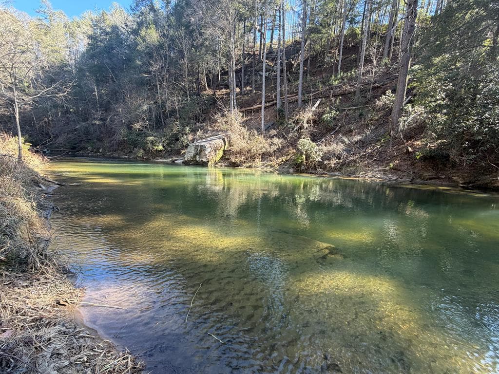 1281 High River Crossing, Ellijay GA 30540 - Photo