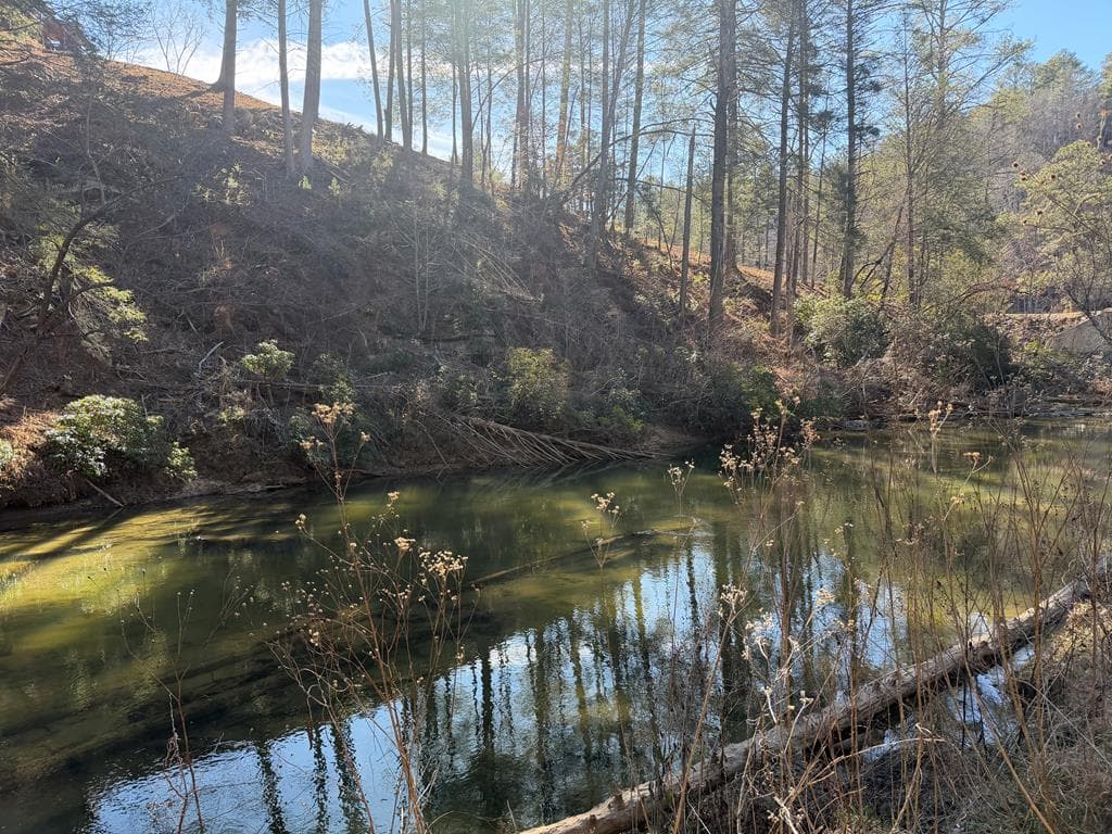 1281 High River Crossing, Ellijay GA 30540 - Photo