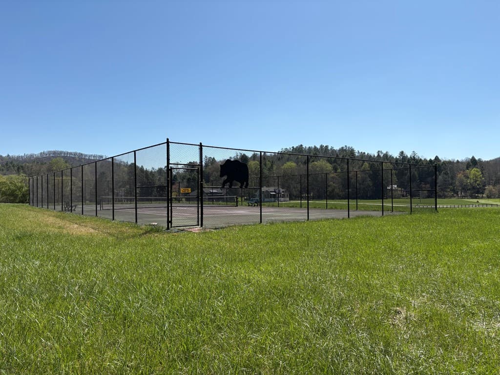 Lot 22 Woodeye Circle, Suches GA 30572 - Photo