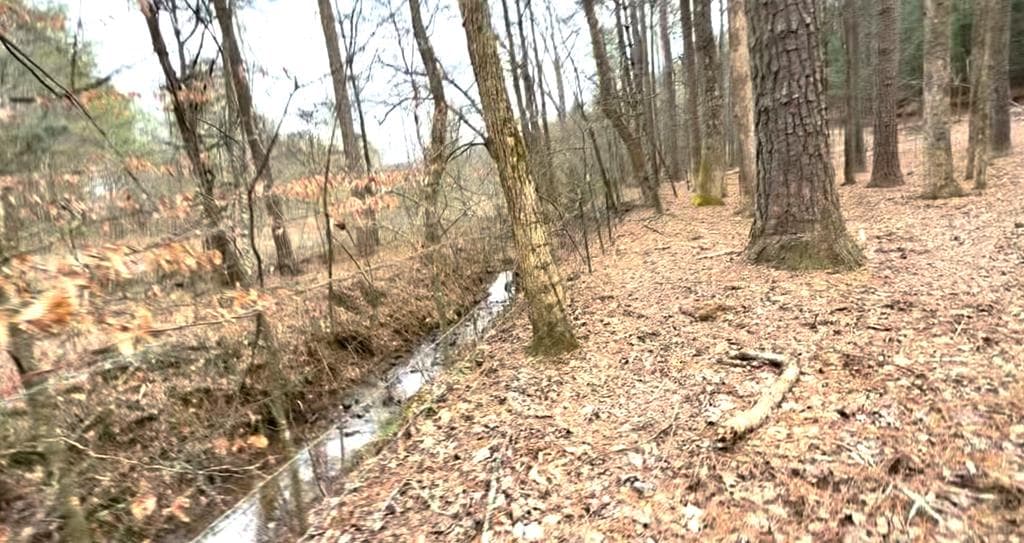 36.8 AC Pleasant Oak Trail, Ellijay GA 30540 - Photo