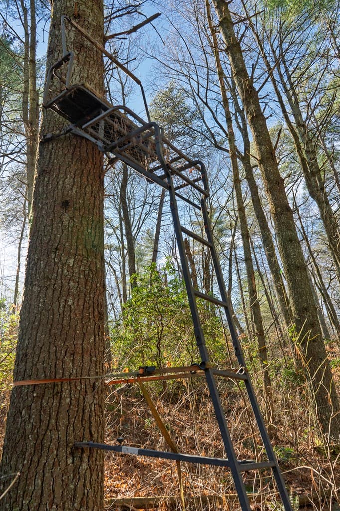 36.8 AC Pleasant Oak Trail, Ellijay GA 30540 - Photo