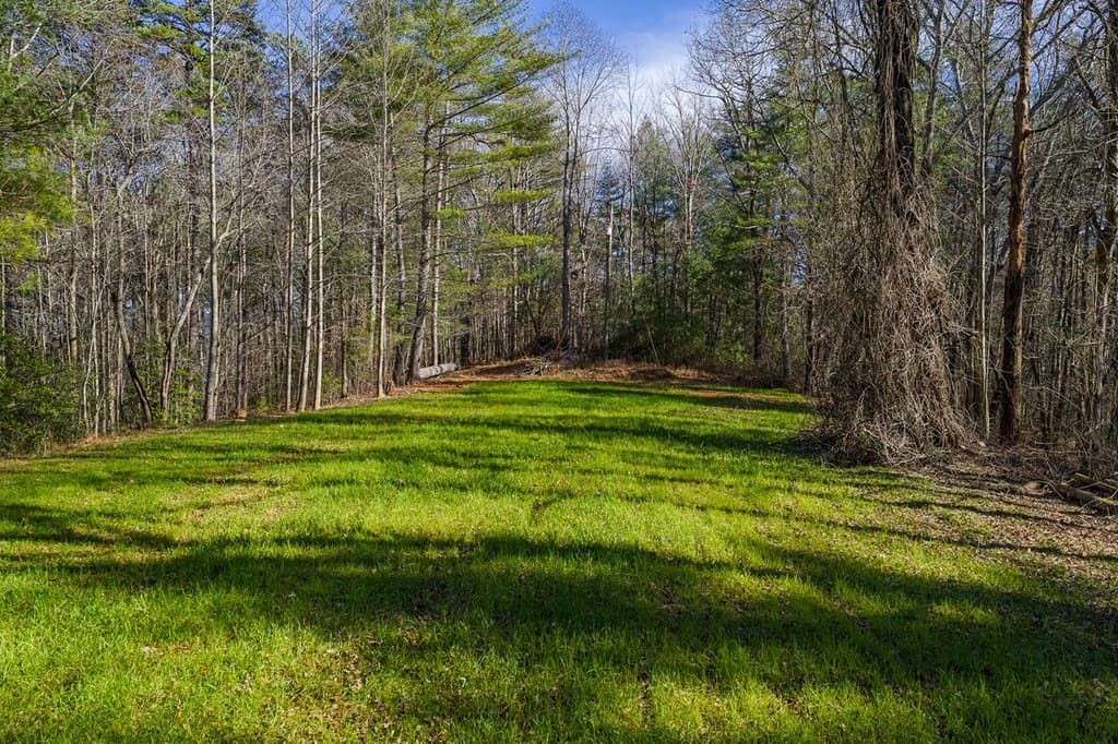 36.8 AC Pleasant Oak Trail, Ellijay GA 30540 - Photo