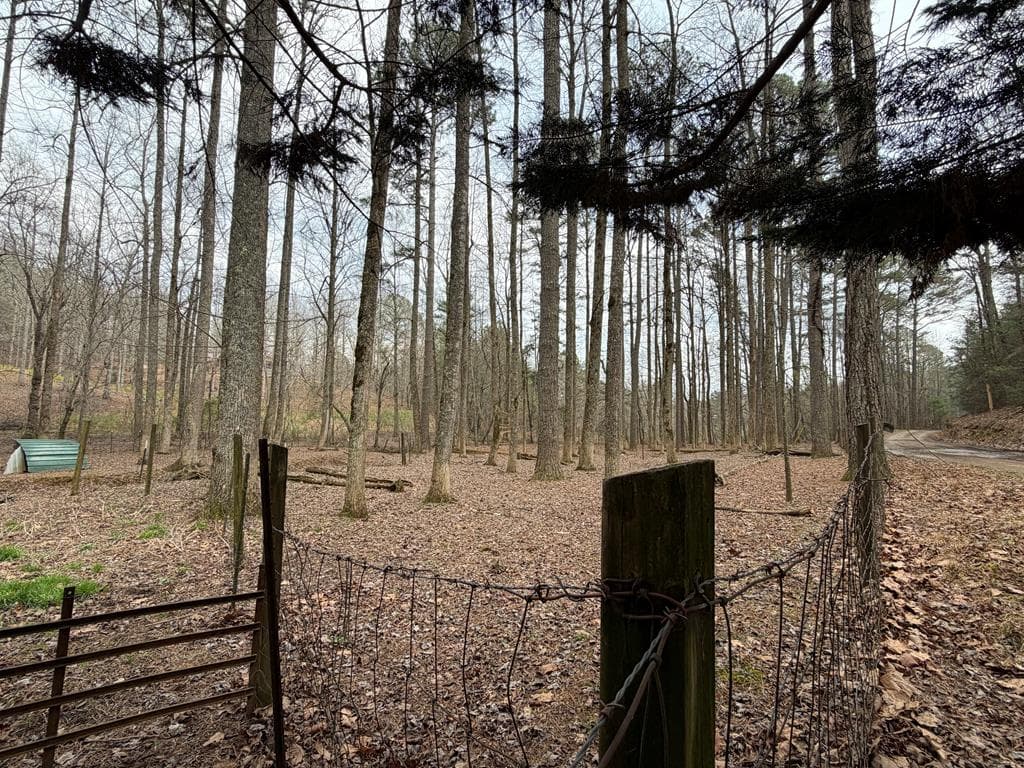 36.8 AC Pleasant Oak Trail, Ellijay GA 30540 - Photo