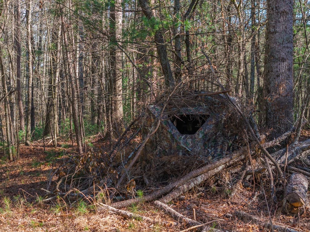 36.8 AC Pleasant Oak Trail, Ellijay GA 30540 - Photo