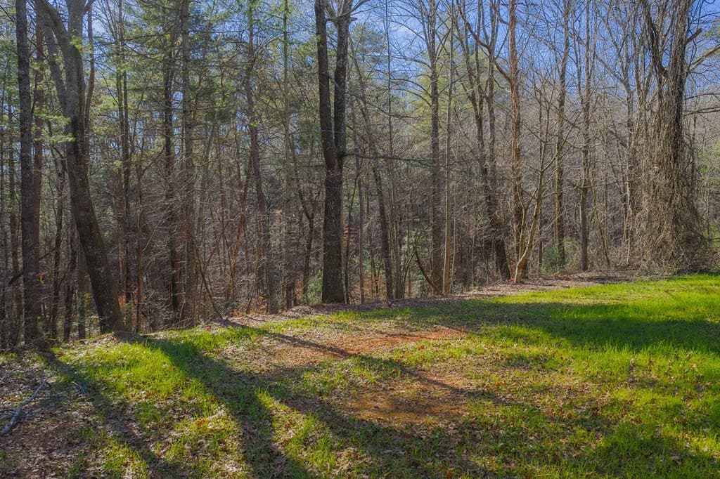 36.8 AC Pleasant Oak Trail, Ellijay GA 30540 - Photo