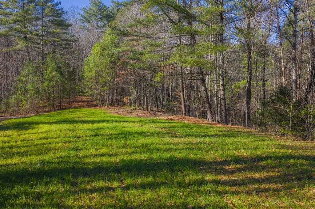 36.8 AC Pleasant Oak Trail, Ellijay GA 30540 - Photo