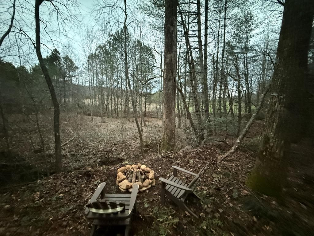 36.8 AC Pleasant Oak Trail, Ellijay GA 30540 - Photo