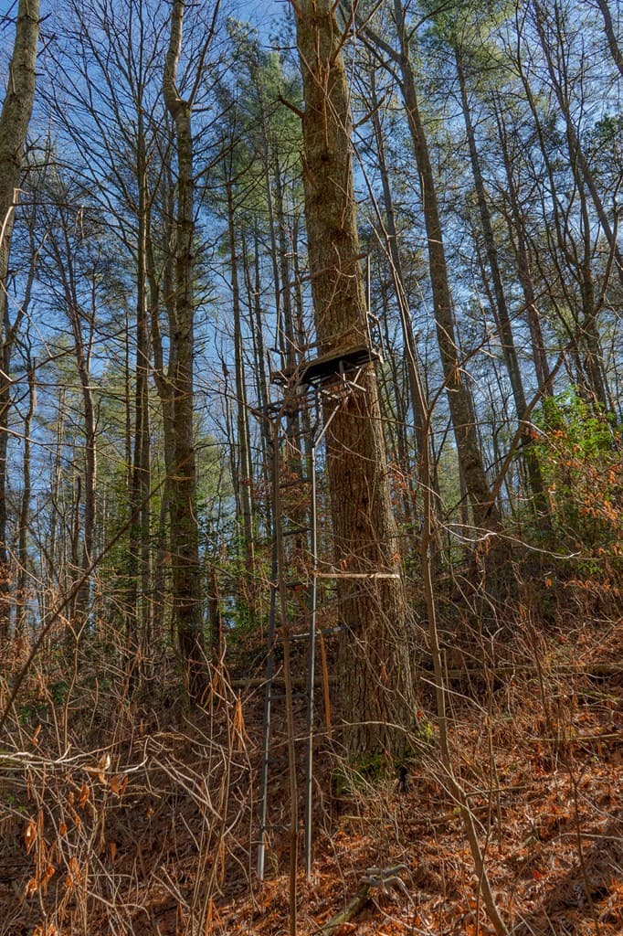 36.8 AC Pleasant Oak Trail, Ellijay GA 30540 - Photo
