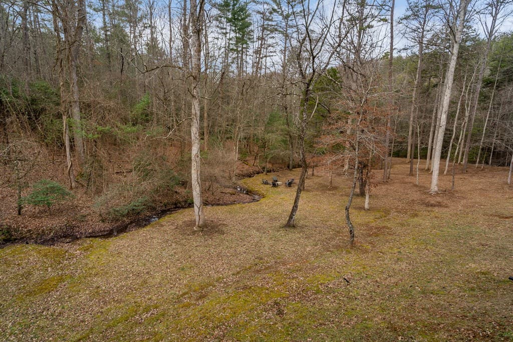 15 Bootleg Mountain Road, Morganton GA 30560 - Photo