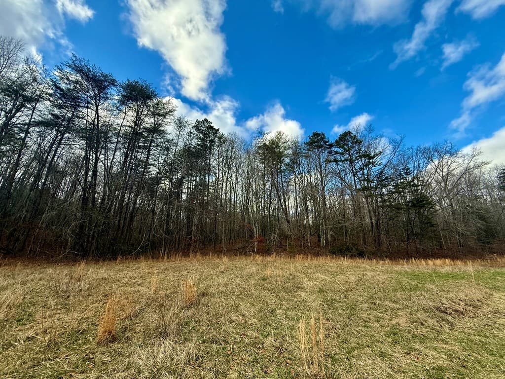 0 Cedar Springs Road, Turtletown TN 37391 - Photo
