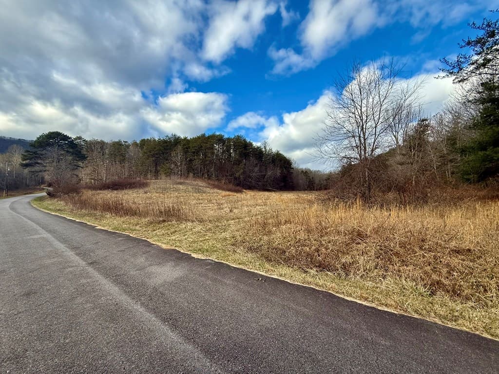 0 Cedar Springs Road, Turtletown TN 37391 - Photo