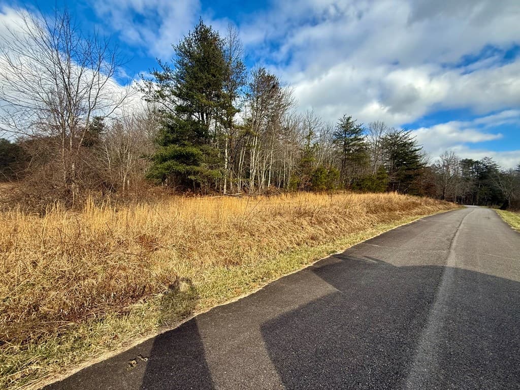 0 Cedar Springs Road, Turtletown TN 37391 - Photo