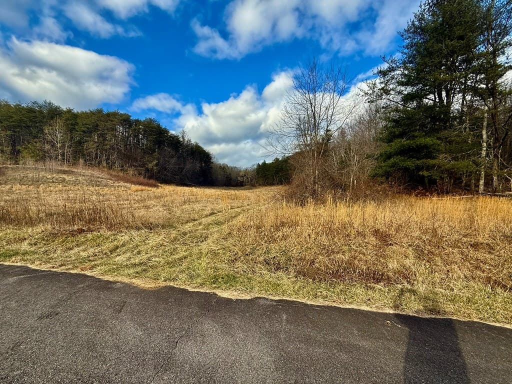 0 Cedar Springs Road, Turtletown TN 37391 - Photo