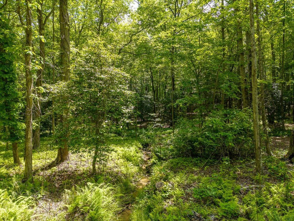 522 Lees Ride, Mccaysville GA 30555 - Photo