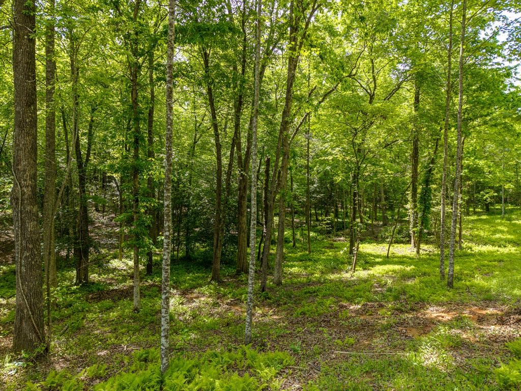 522 Lees Ride, Mccaysville GA 30555 - Photo