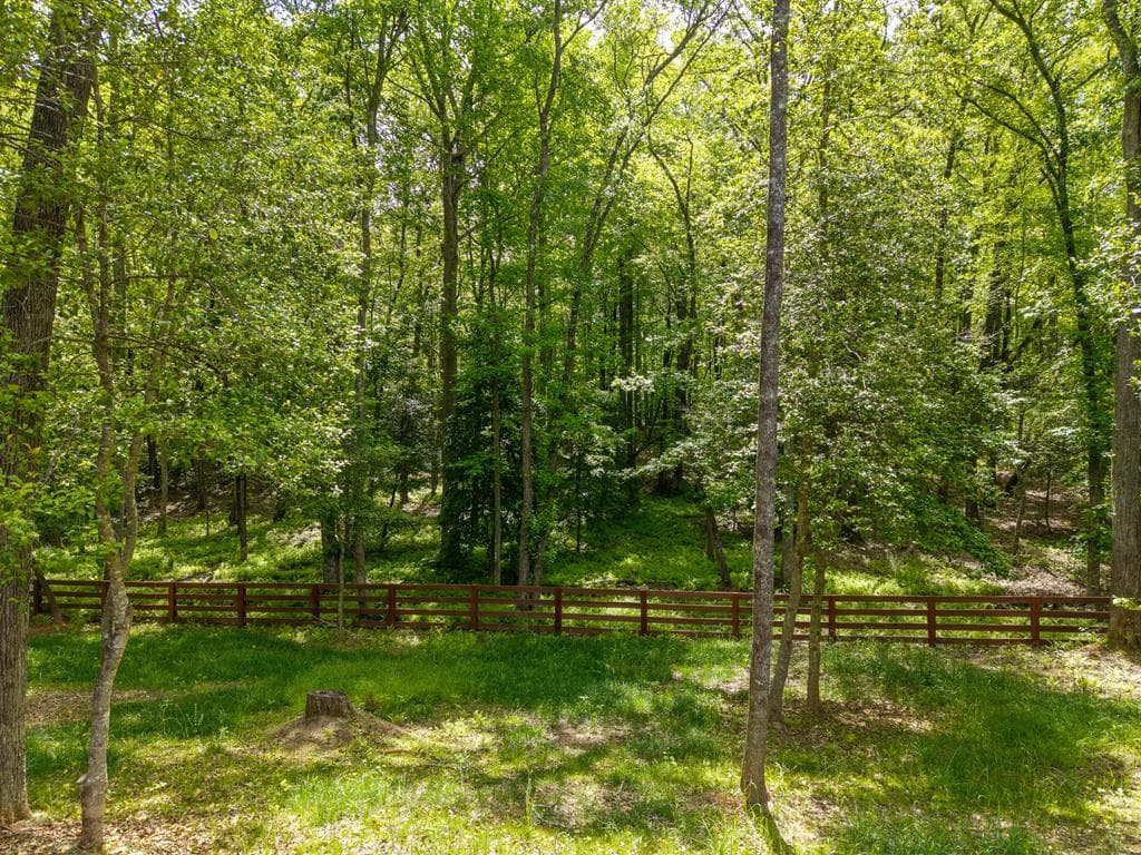 522 Lees Ride, Mccaysville GA 30555 - Photo