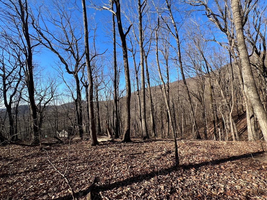 245 Sassafras Mountain Trail, Jasper GA 30143 - Photo