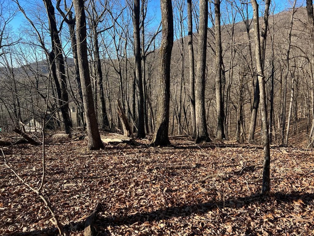 245 Sassafras Mountain Trail, Jasper GA 30143 - Primary photo