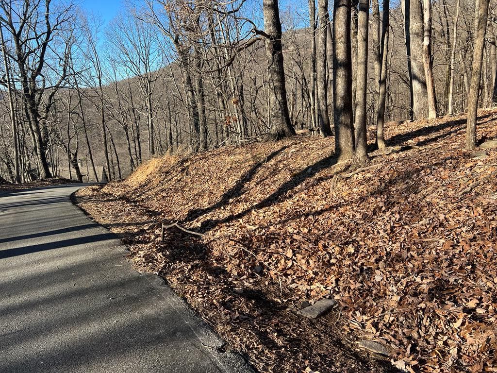 245 Sassafras Mountain Trail, Jasper GA 30143 - Photo