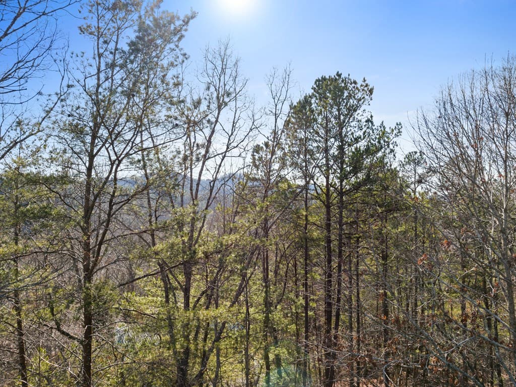 1140 Knollwood Road, Mineral Bluff GA 30559 - Photo