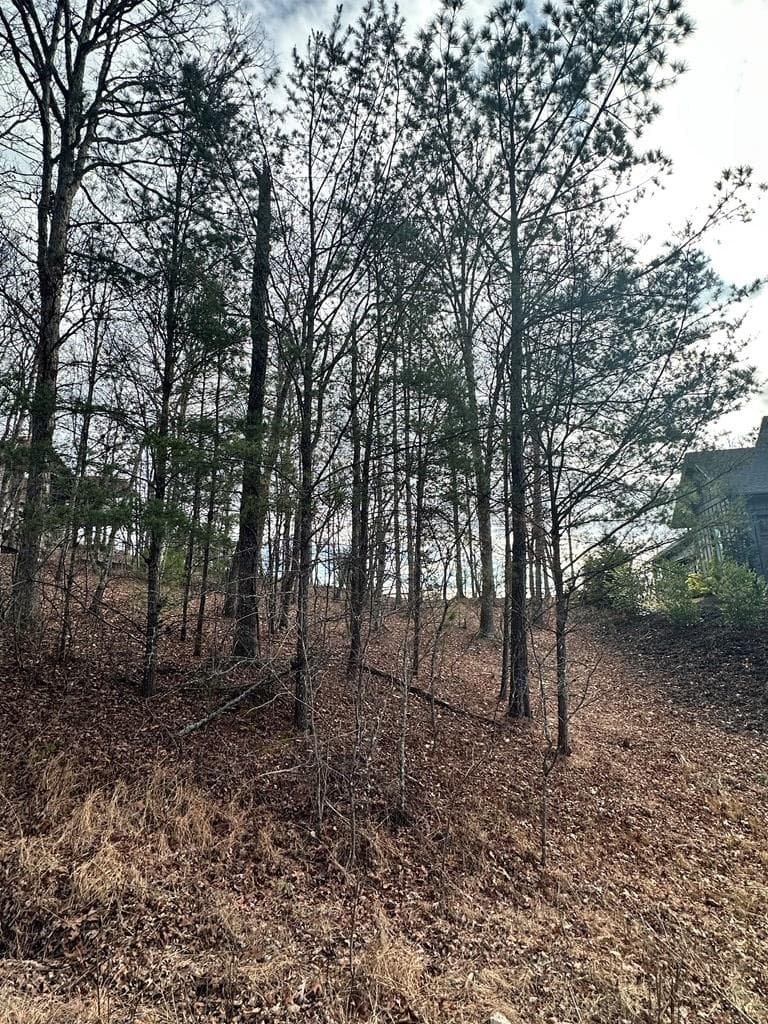 Lot 95 Fallen Leaf Road, Mineral Bluff GA 30559 - Photo