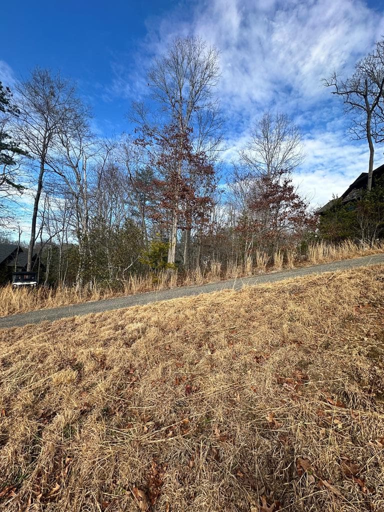 Lot 95 Fallen Leaf Road, Mineral Bluff GA 30559 - Photo