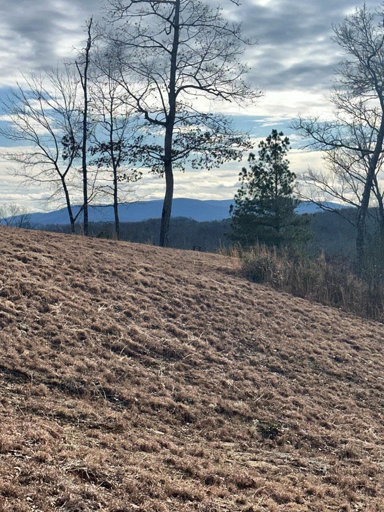 Lot 95 Fallen Leaf Road, Mineral Bluff GA 30559 - Primary photo