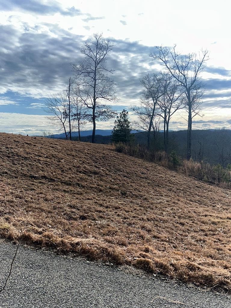 Lot 95 Fallen Leaf Road, Mineral Bluff GA 30559 - Photo