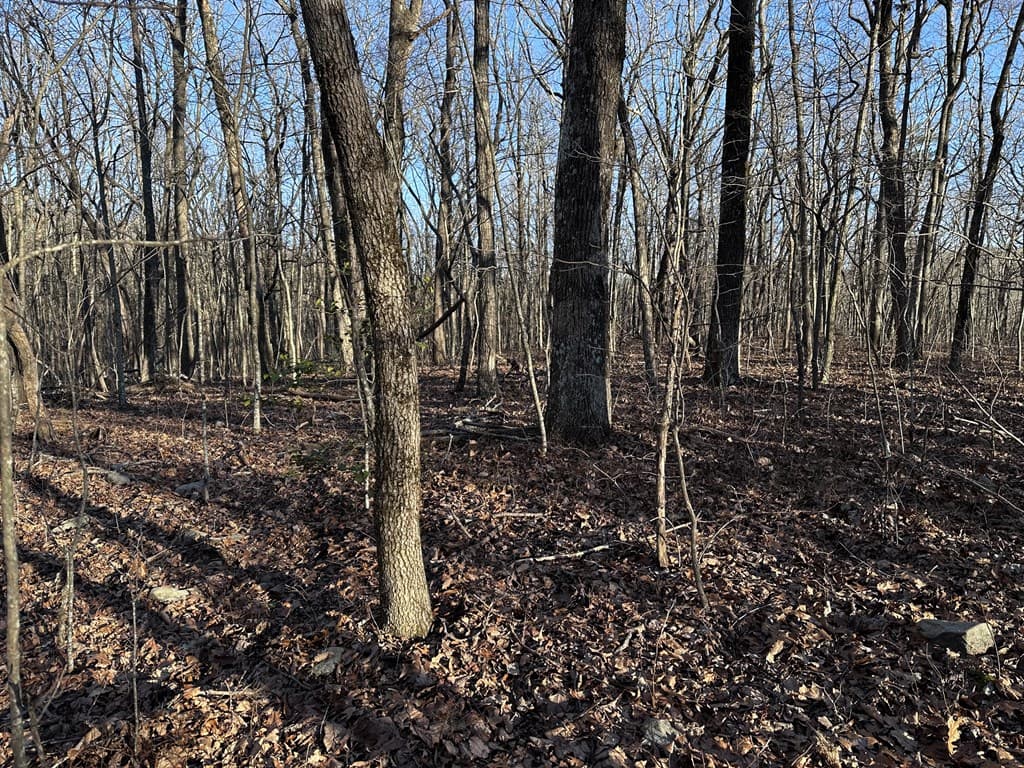 183 St Andrews Way, Ellijay GA 30536 - Photo