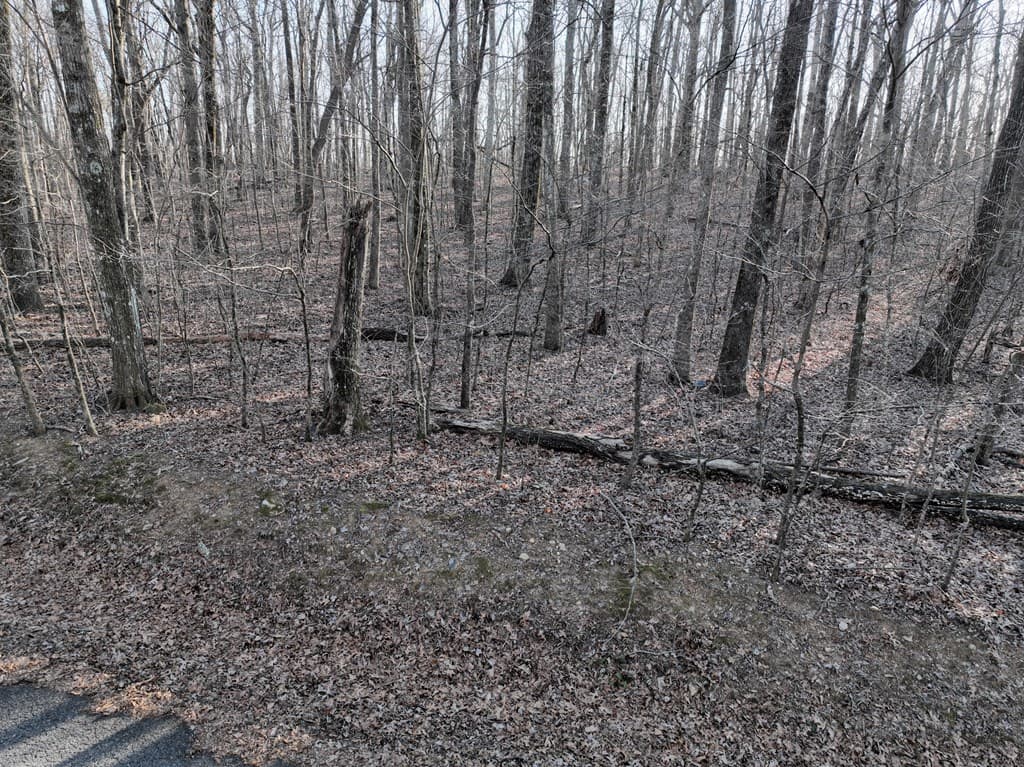 183 St Andrews Way, Ellijay GA 30536 - Photo