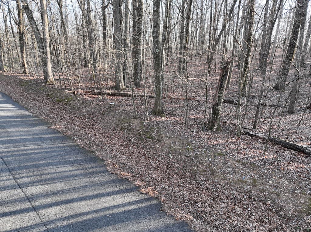 183 St Andrews Way, Ellijay GA 30536 - Photo