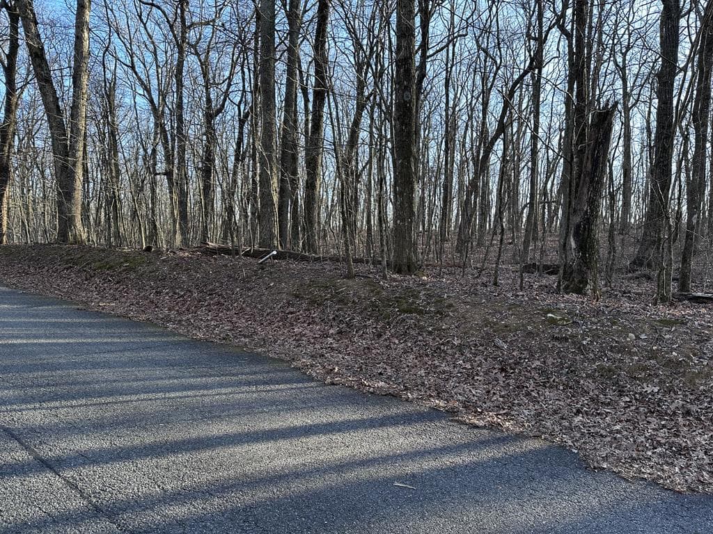 183 St Andrews Way, Ellijay GA 30536 - Primary photo