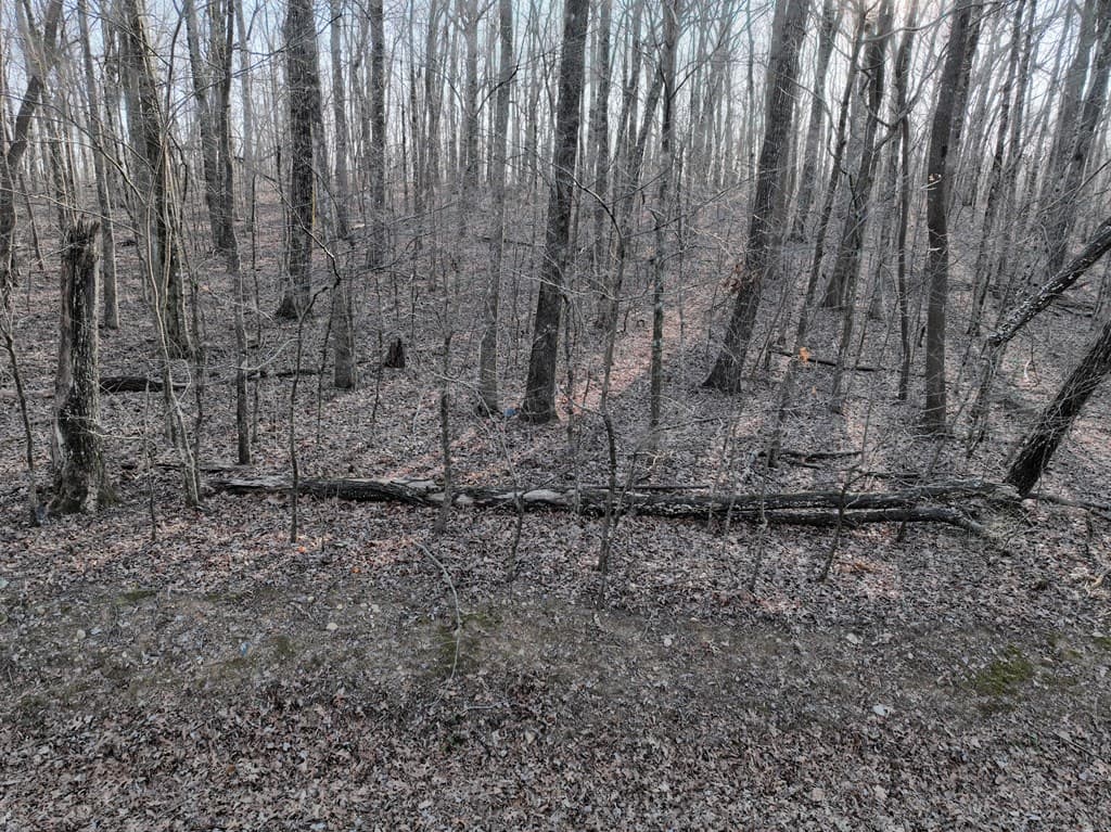 183 St Andrews Way, Ellijay GA 30536 - Photo