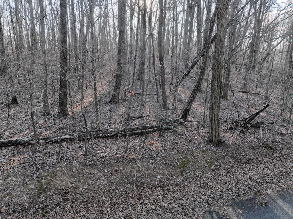 183 St Andrews Way, Ellijay GA 30536 - Photo