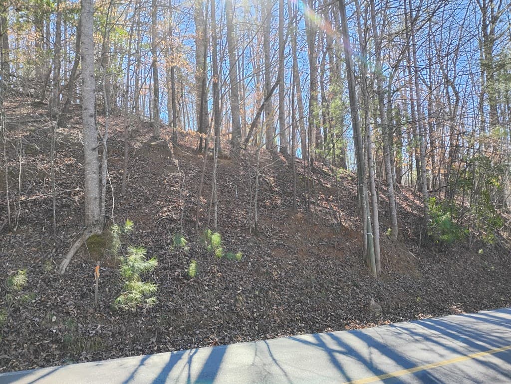 Lt 2090R Newport Drive, Ellijay GA 30540 - Photo