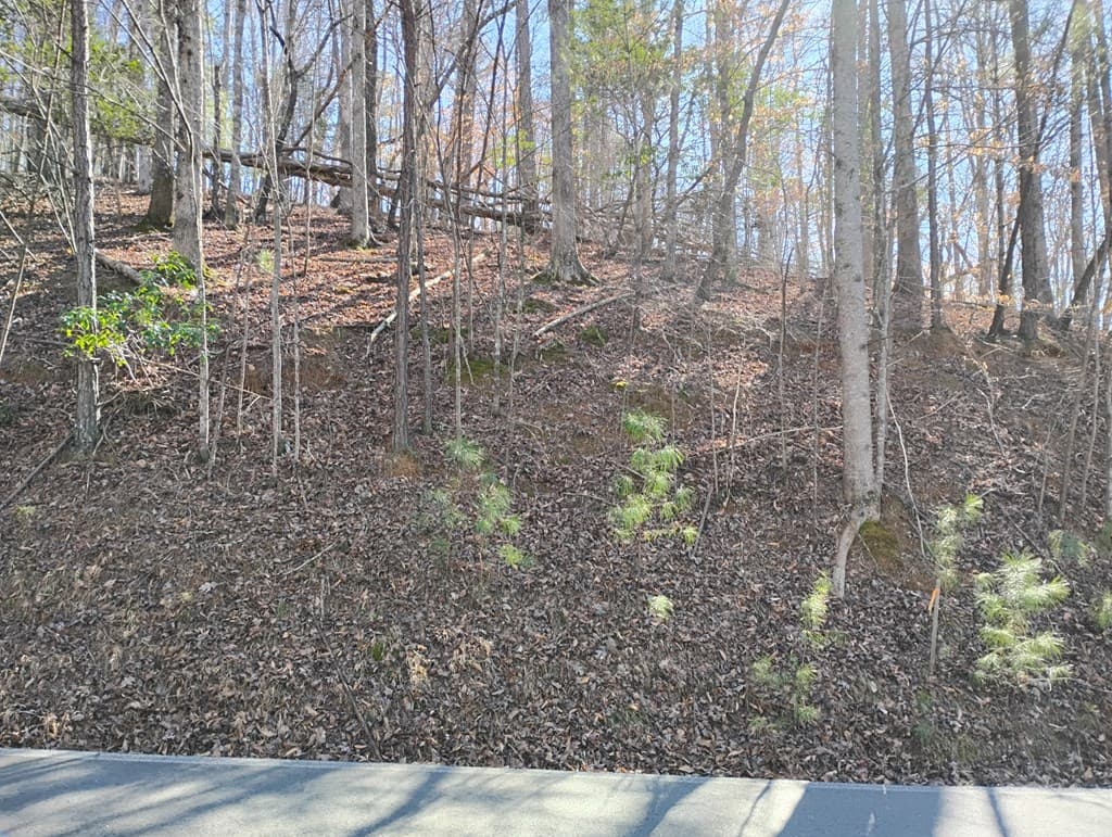 Lt 2090R Newport Drive, Ellijay GA 30540 - Photo