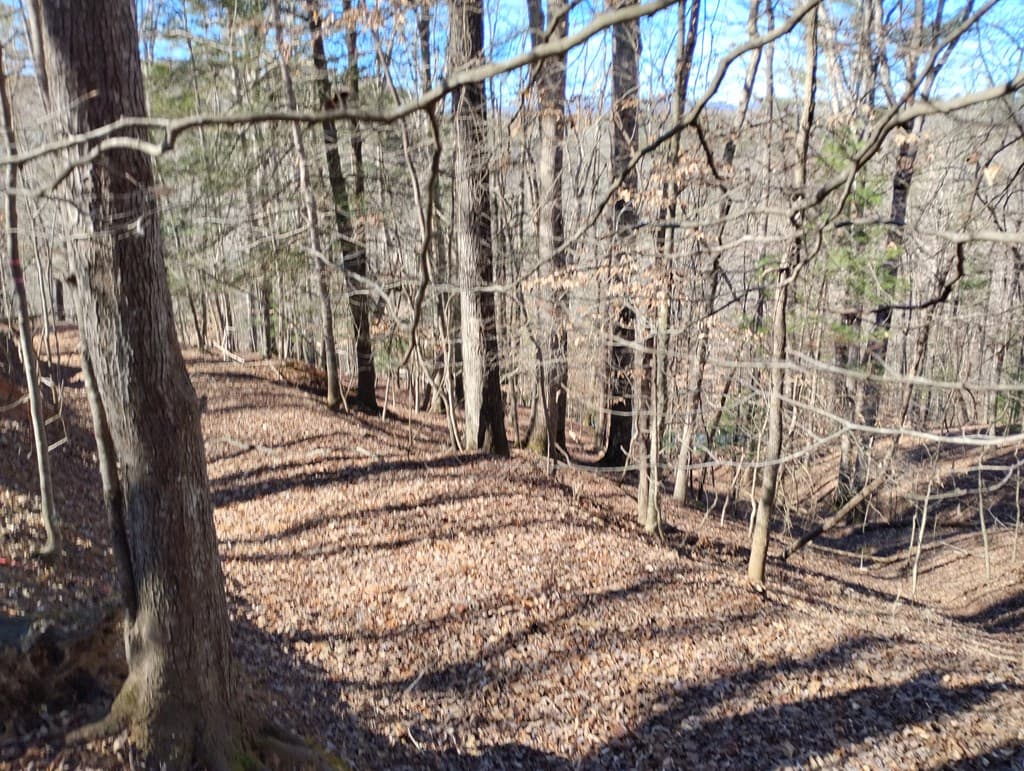 Lt 2090R Newport Drive, Ellijay GA 30540 - Photo