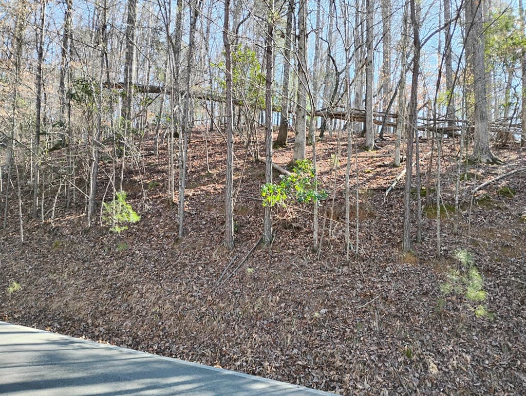 Lt 2090R Newport Drive, Ellijay GA 30540 - Photo